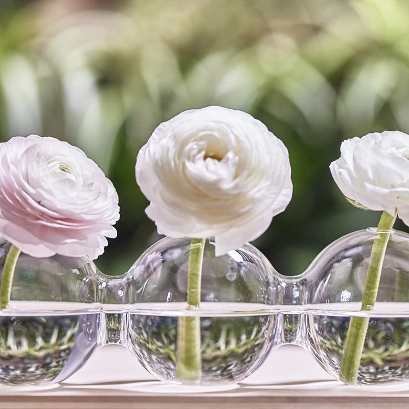 CHIVE â€˜Caterpillarâ€™ Bubble Bud Vase for Centerpieces â€” 4 Hole Multi Chamber Clear Glass Flower Vase for Short Flowers â€” Large, 13â€ Long - Image 5